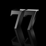 TEMSHIK_MSK_77