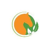 Orange Horse Grooming Official