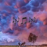 Mood_playlist🎶
