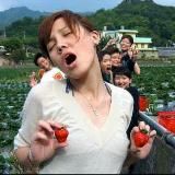 MyFunnyAli