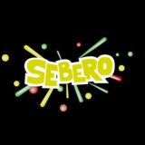 SEBERO COMPANY