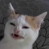 Мы
