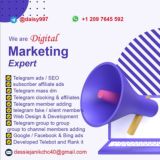 Telegram_SEO/Ads/Website/SEO/SMO/PPC/Facebook_ads/Keywords_Ranking