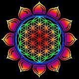 🕉Goa People🌞