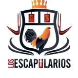 Los Escapularios