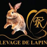 3- INFO - CANAL LE PETIT ÉLEVAGE Fk / PRODUITS DE SANTÉ INDIEN
