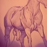 Four Legs, One Dick