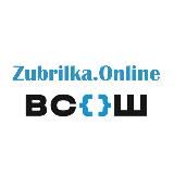 ВСОШ 2024 Ответы и Задания