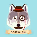 Курсы нахаляву