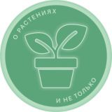 BogdaSHka 🍀о растениях и не только🍀