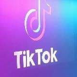 Tik tok Hayp 🦜