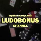 Kometa официальный | ARKADA CASINOO