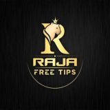 RAJA CRICKET ANALYST