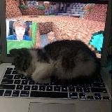 я хочу