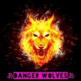 🇺🇿あDanGer Wolvesあ Official