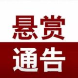 最新消息 任务悬赏 搞钱渠道 散户接单 供需发布