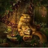 Кот_учёный