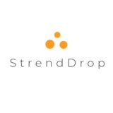 Дропшиппинг StrendDrop Виктор Дроп