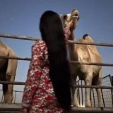 مرآهيف١`