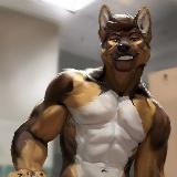 Shep's Yiff Stash