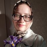 французские истории Эльвины