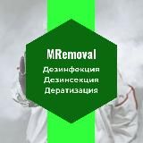 Уничтожение клопов, тараканов,плесени MRemoval в Санкт-Петербурге