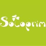 Сыр Solo_prim