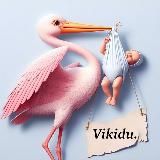 Vikidu