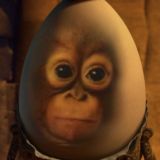 Skam eGG