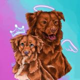 🧡Толлер банда🧡