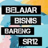 B3SR12 Official