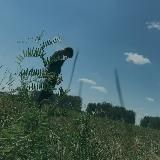 Пикник у Обочины