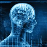 Neurology Video
