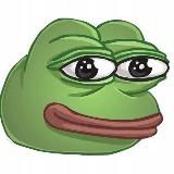 MEMES NEWS