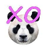 China XOXO