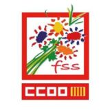 Canal empleo de la FSS CCOO PV