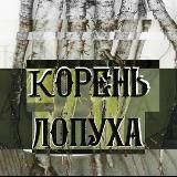 КОРЕНЬ