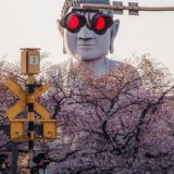 Bot