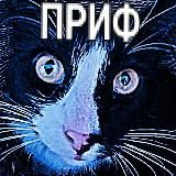 т442 * маленькие теми