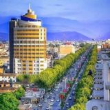 رده سنی 26 به بالا
