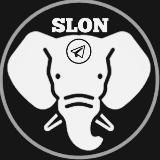 SLON 🐘