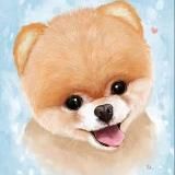 ШПИЦ •ПОМЕРАНСКИЙ •POMERANIAN SPITZ