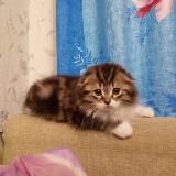 Выживаем как могЁм