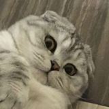 😊