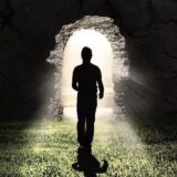 Hidden Survivor