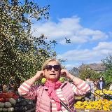 Ох, уж эта Германия