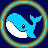 Ballena Digital