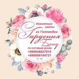 Гардения