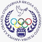 СШОР Амурской области
