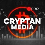 CryptoRank Research